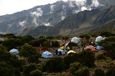 - Zum Vergrößern : Bild anklicken ! -