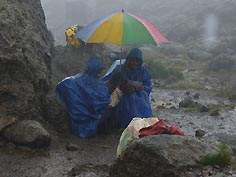 - Zum Vergrößern : Bild anklicken ! -