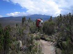 - Zum Vergrößern : Bild anklicken ! -