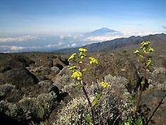 - Zum Vergrößern : Bild anklicken ! -