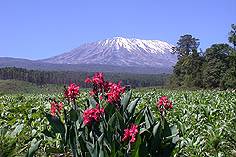 - Zum Vergrößern : Bild anklicken ! -