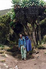 - Zum Vergrößern : Bild anklicken ! -